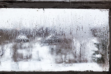 Defogging Double Pane Windows in Port Charlotte, FL